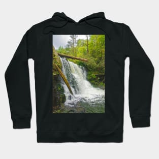 Abrams Falls, Great Smoky Mountains Hoodie